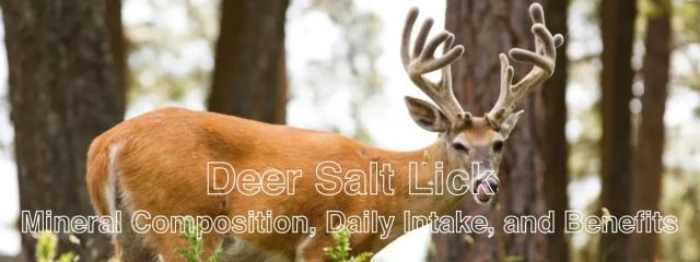 The Importance and Benefits of Salt Licks for Cows and Deer