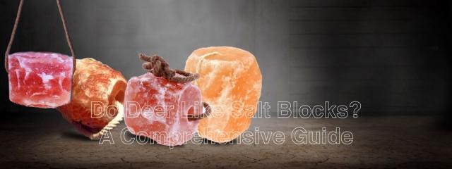 The Secret to Healthier Livestock: Why Your Cattle Need Himalayan Salt Blocks